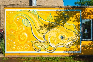 Yahara River public art. A large mural of a yellow catfish.