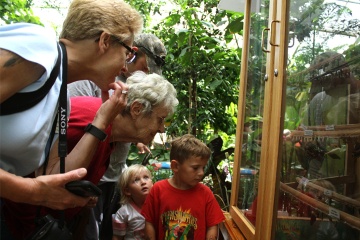 Adults and two looking into a butterfly box. One person has a camera.